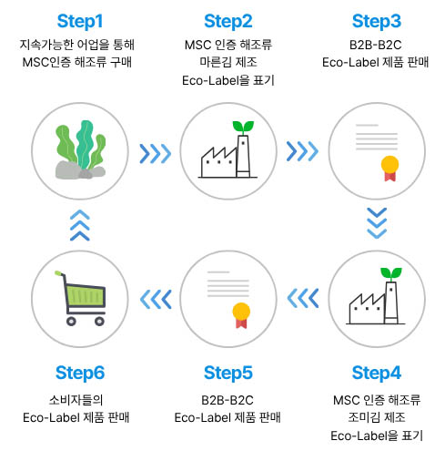 MSC 인증 이미지